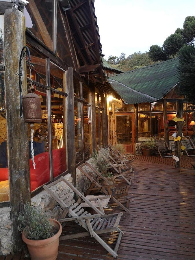 Alive Eco Hut Pousada Монті-Верді Екстер'єр фото