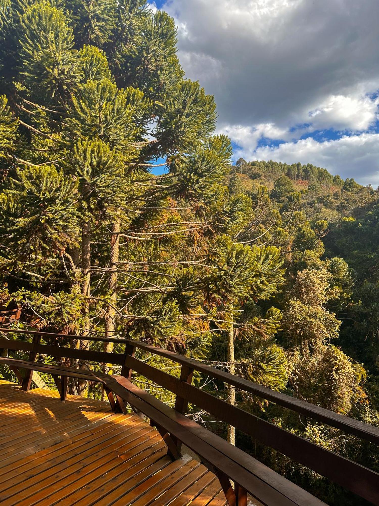 Alive Eco Hut Pousada Монті-Верді Екстер'єр фото